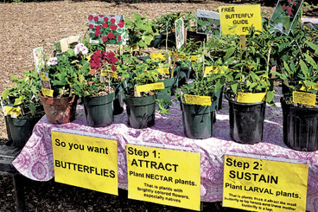 article image - 